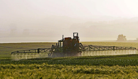 Nivelul de pesticide din alimente – ultimele date furnizate de EFSA